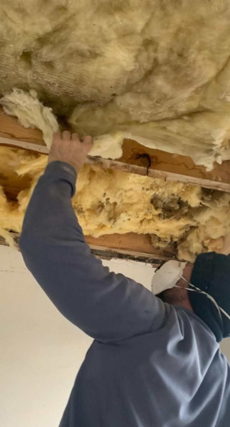 Stripping out water-soaked ceiling insulation