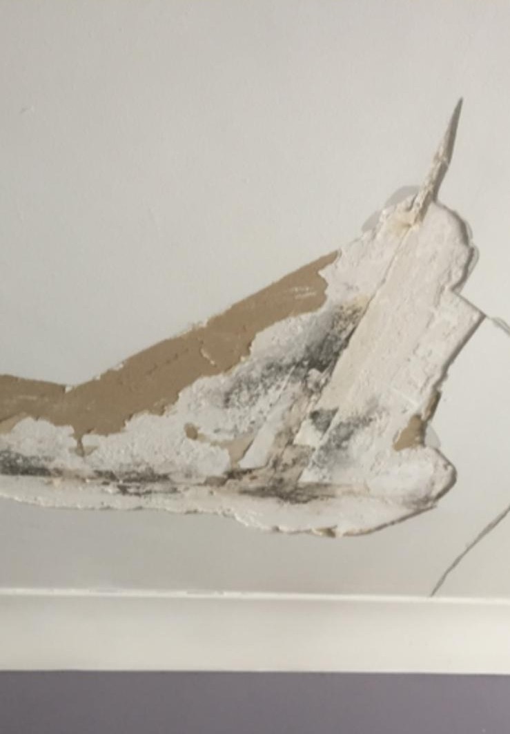 Water-damaged plaster and mould